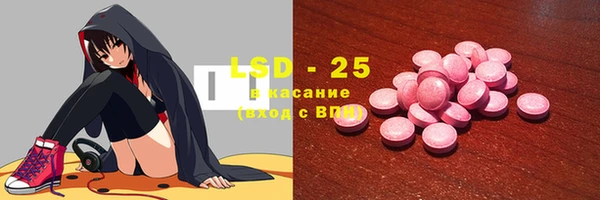 стаф Елабуга