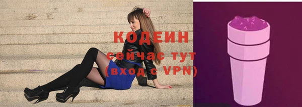a pvp Ельня