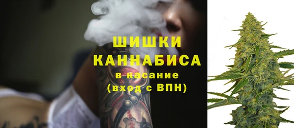 ГАЛЛЮЦИНОГЕННЫЕ ГРИБЫ Елизово
