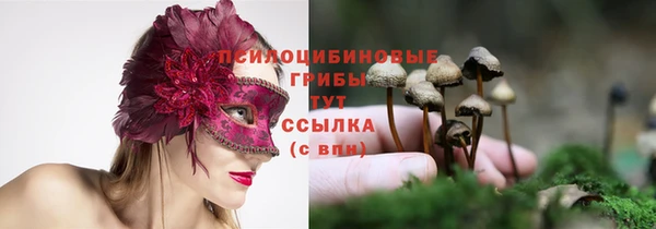 стаф Елабуга