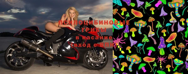 стаф Елабуга