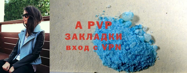 a pvp Ельня
