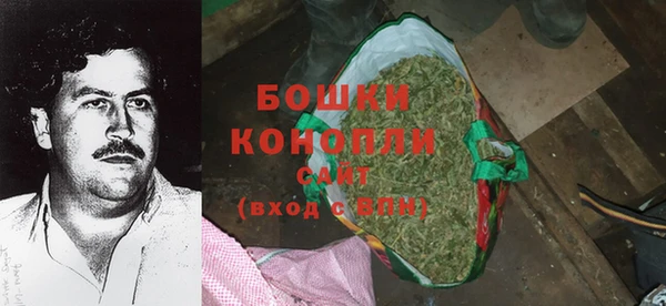 a pvp Ельня