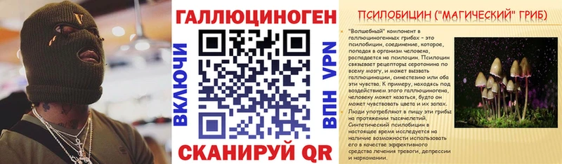 Галлюциногенные грибы Psilocybe  Нефтекумск 